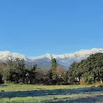 Bel Corse Cote Est *