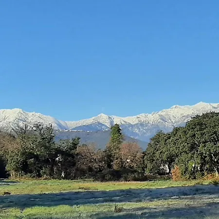 Bel Corse Cote Est *