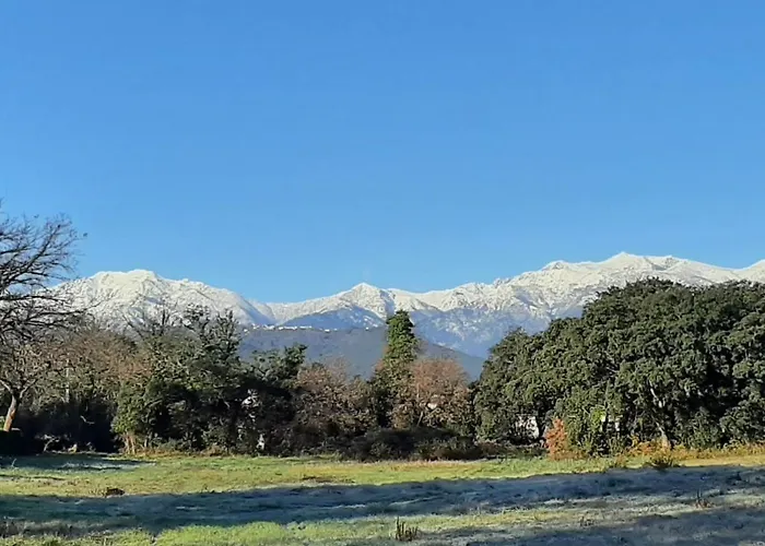 Bel Corse Cote Est *